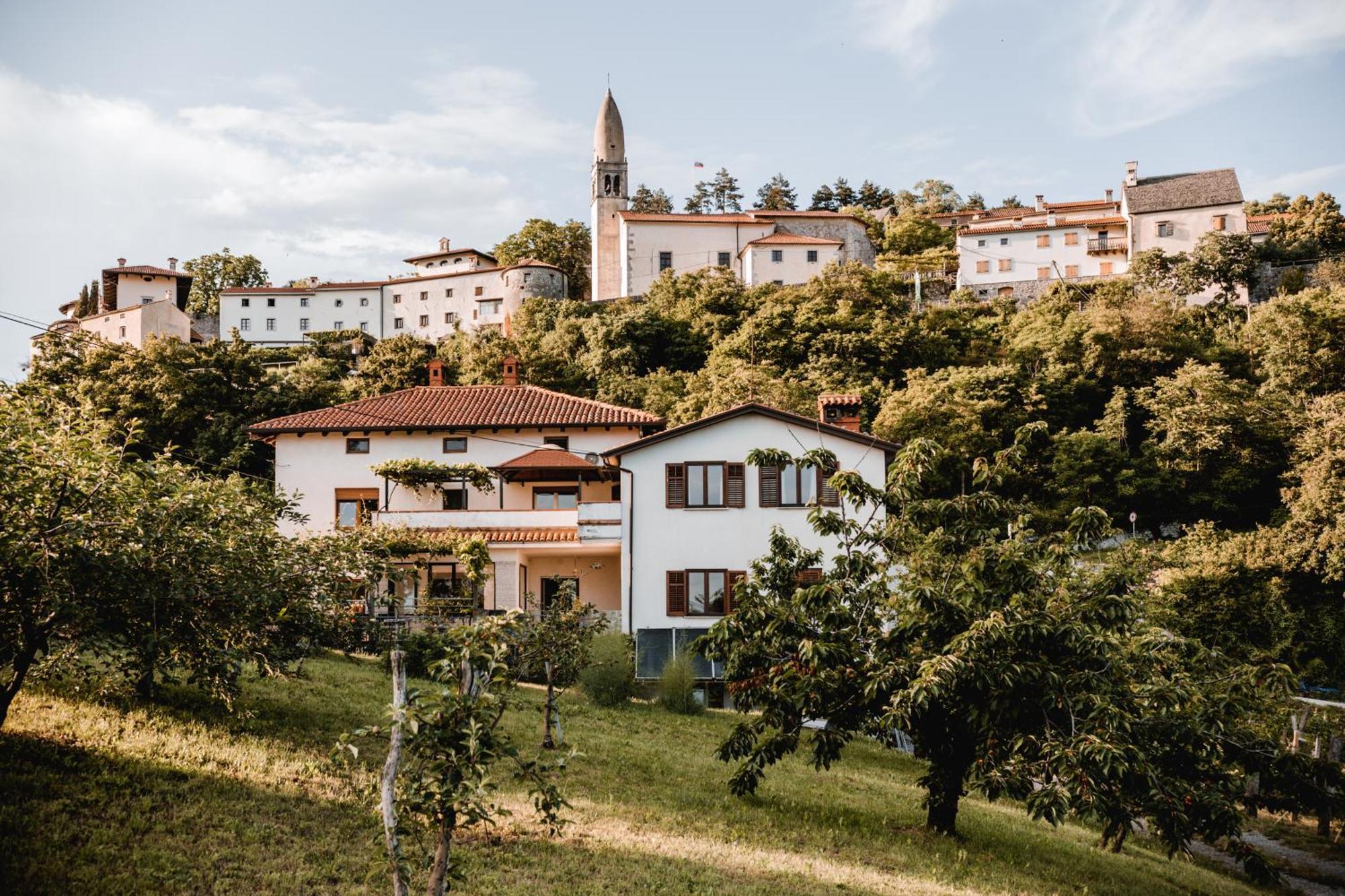 Vina Kobal, Kobal Family Estate Apartment Štanjel Exterior foto